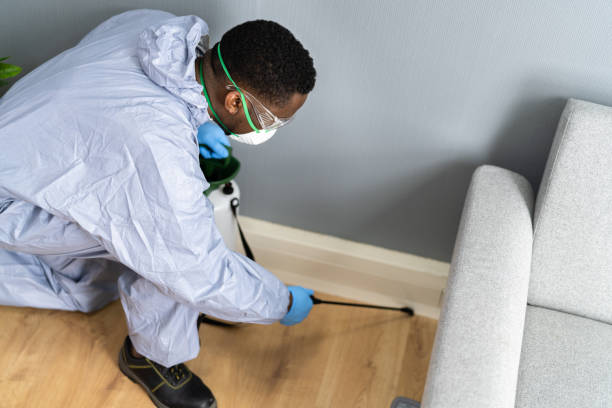 Professional Pest Control in White Knoll, SC